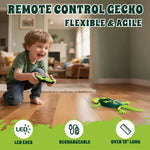 Gecko