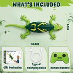Gecko
