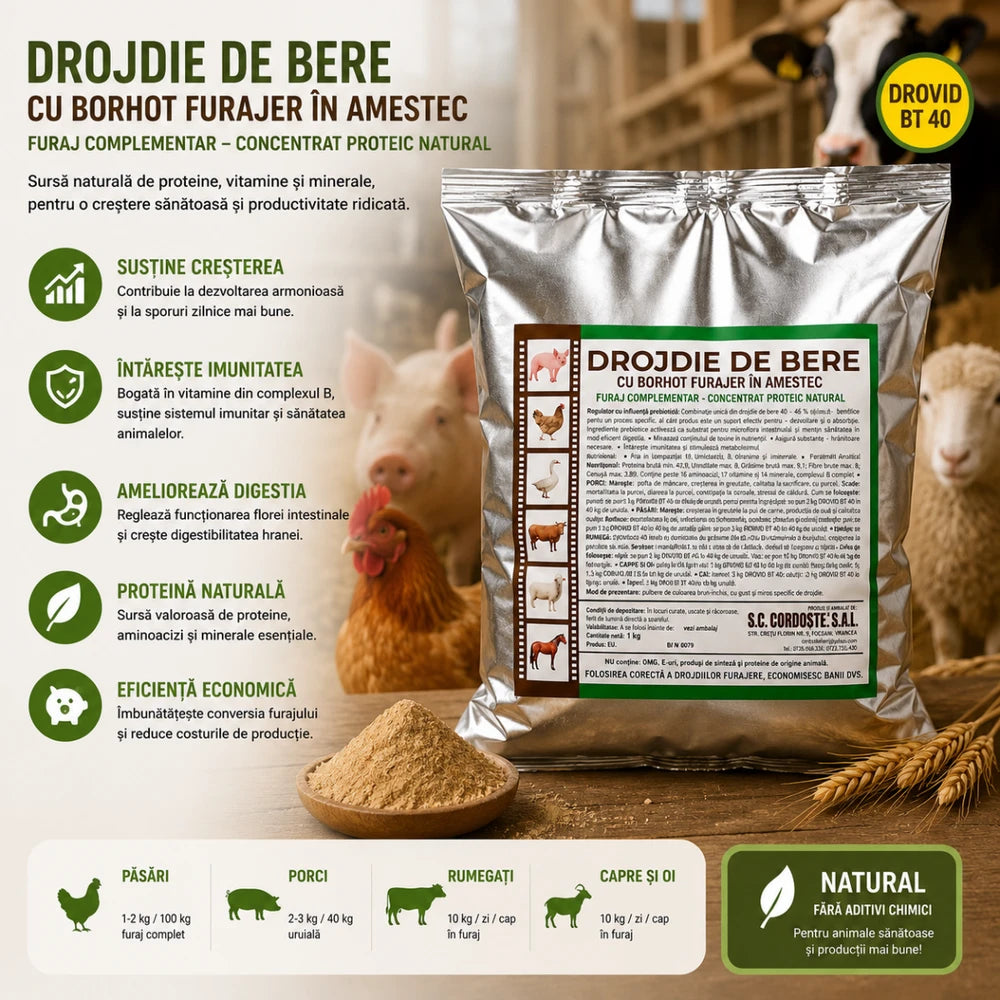 DROJDIE DE BERE CU BORHOT 1KG
