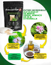 Pliculete naturale pentru indepartarea soarecilor si sobolanilor