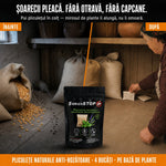 Pliculete naturale pentru indepartarea soarecilor si sobolanilor