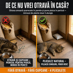 Pliculete naturale pentru indepartarea soarecilor si sobolanilor